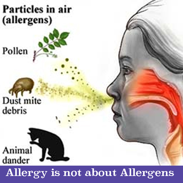 Allergy is not about Allergens