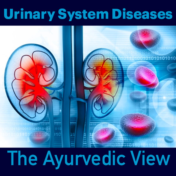 Ayurveda about kidney disease