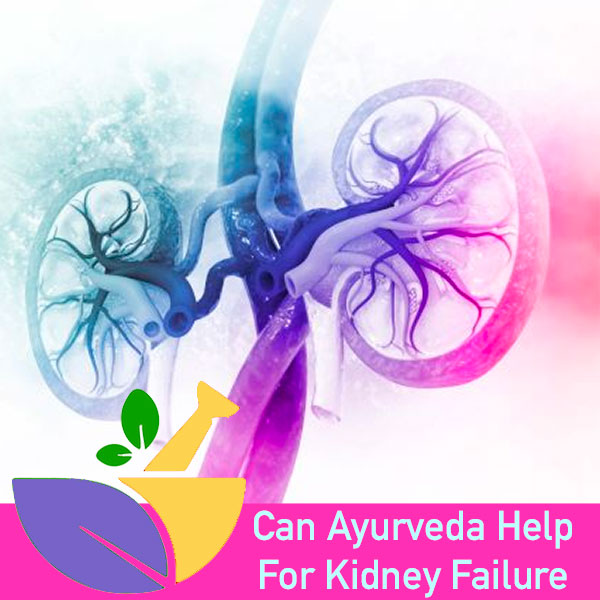 can ayurveda help for kidney disease