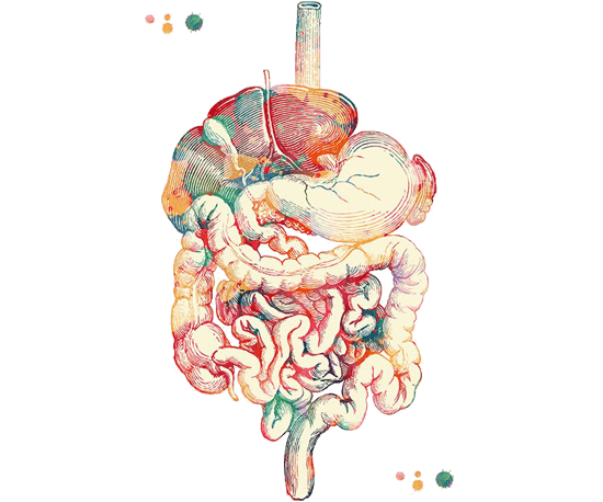 Gastroenterology