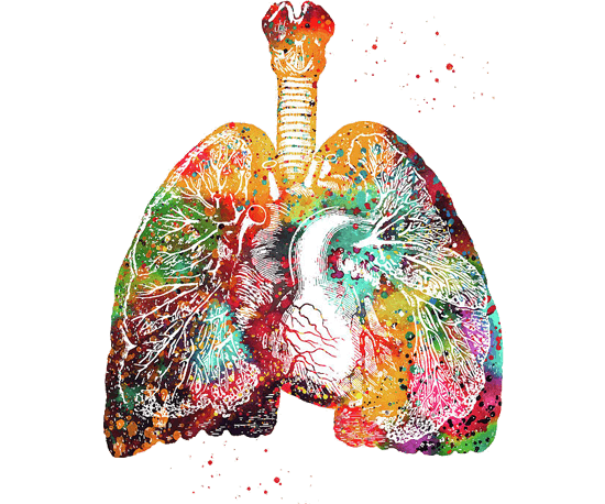 Pulmonology