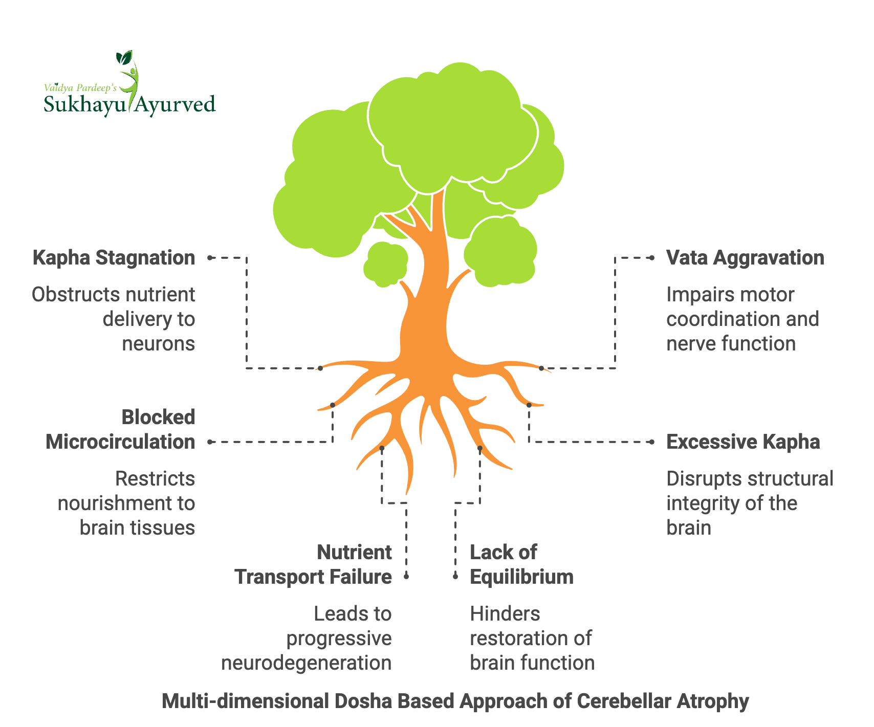 Ayurveda treatment for Diffuse Cerebellar Atrophy